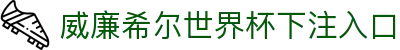 威廉希尔世界杯下注入口_威廉希尔世界杯竞猜平台_平台注册登录